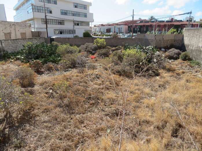 Imagen del estado actual de unos de los estanques/TA.